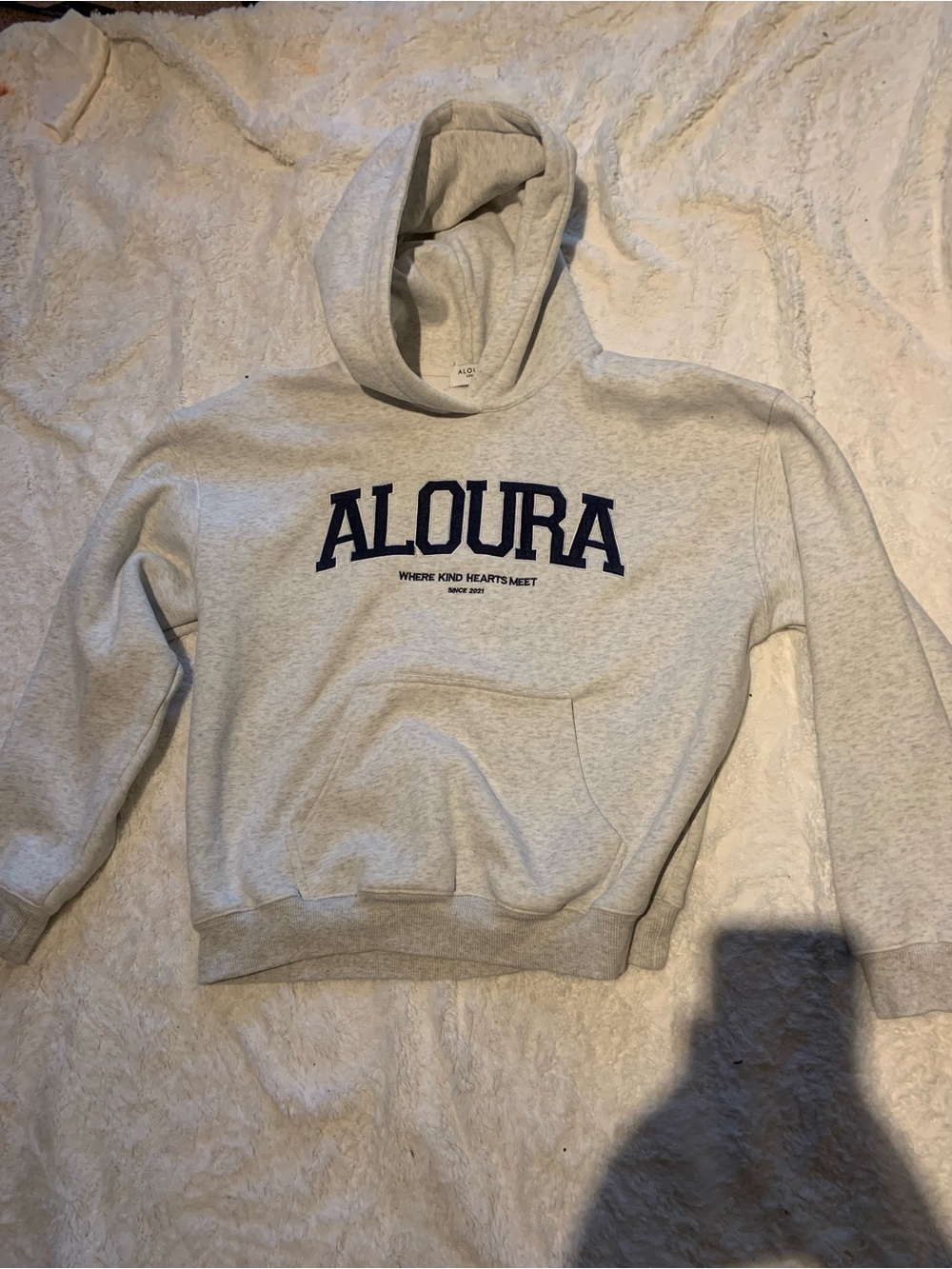Aloura Gray Logo Hoodie - “your future needs you” back design